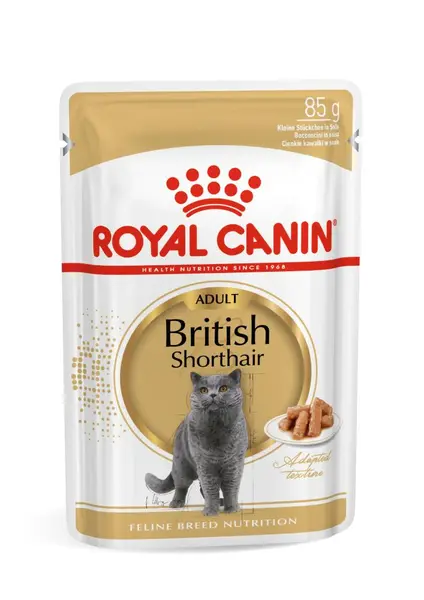Royal Canin British Shorthair Adult hrana umeda pisica (in sos) 85g
