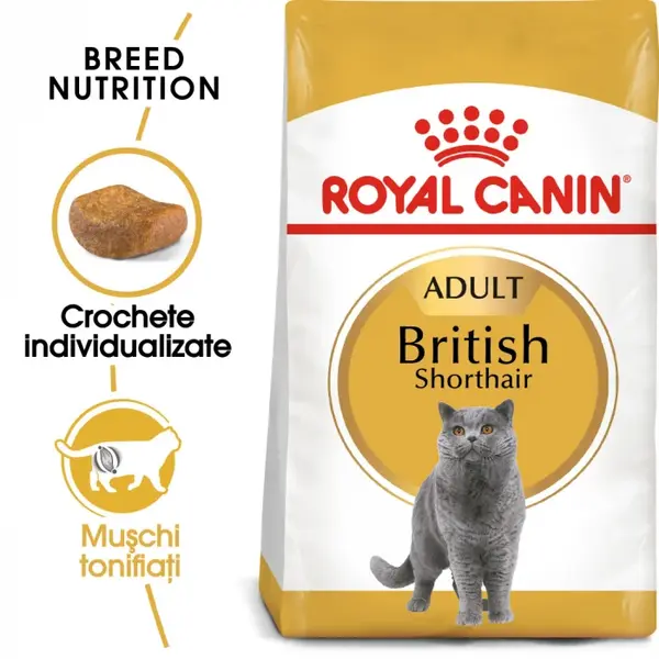 Royal Canin British Shorthair Adult hrana uscata pisica, 2kg
