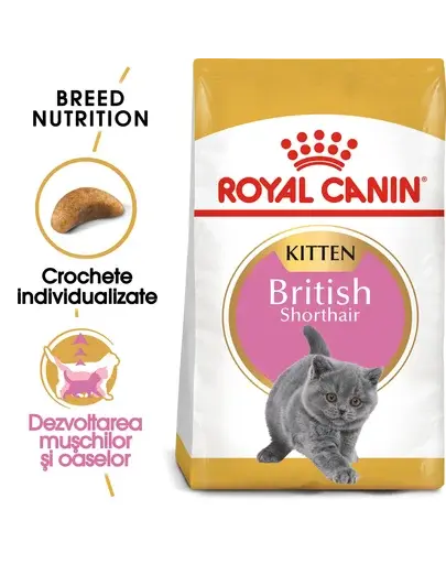 Royal Canin British Shorthair Kitten hrana uscata pisica junior, 2 kg