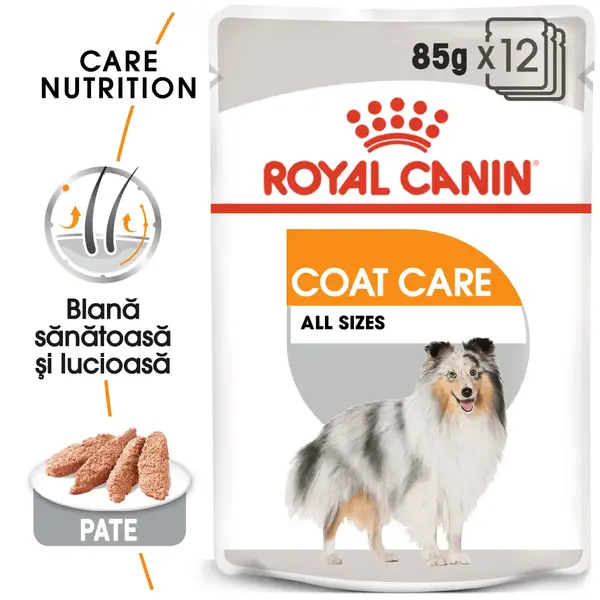 ROYAL CANIN Coat Care Adult, hrană umedă câini, blană sănătoasă și lucioasă, (pate), bax, 85g x 12buc