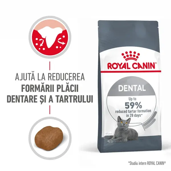 Royal Canin Dental Care Adult hrana uscata pisica, reducerea formarii tartrului, 8 kg