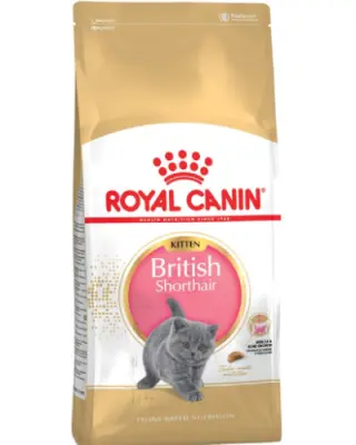 Royal Canin Felin British Shorthair Kitten - royal-canin,2-kg