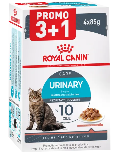 ROYAL CANIN FHN Urinary Care Plic pentru pisici adulte