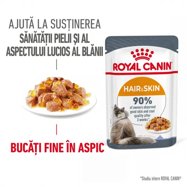 Royal Canin HairSkin Care Adult hrana umeda pisica, piele si blana (in aspic), 12 x 85g