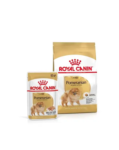 ROYAL CANIN Pomeranian Adult 3 kg + hrană umedă Pomeranian Adult 12x85g