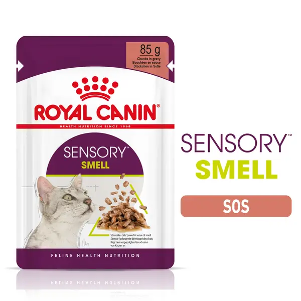 ROYAL CANIN Sensory Smell hrană umedă pisici stimularea mirosului (în sos), 85g