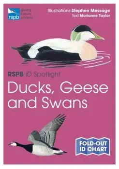 RSPB ID Spotlight - Ducks, Geese and Swans/Marianne Taylor