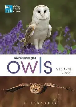 RSPB Spotlight Owls, Paperback/Marianne Taylor