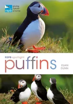 RSPB Spotlight: Puffins, Paperback/Euan Dunn