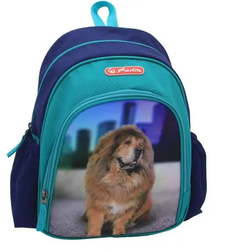 Rucsac Cool, 31x20x12 cm, Boss Phantom Blue, Herlitz