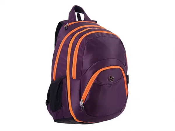 Rucsac fete pentru scoala,2 in 1 Violet,50x32x25 cm