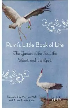 Rumi's Little Book of Life