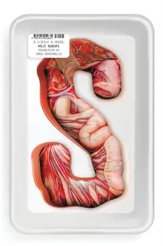 S, Paperback/Koji Suzuki