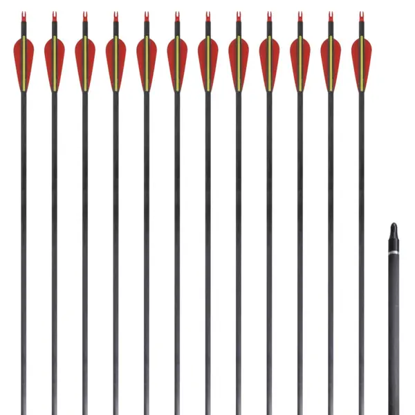 Sageti standard arc recurv 30 0,76 cm carbon 12 buc.