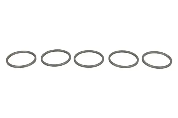 Saiba DENSO pret pt 5 buc (diametru interior 21,5mm, diametru exterior 24,3mm, grosime 1,53mm)