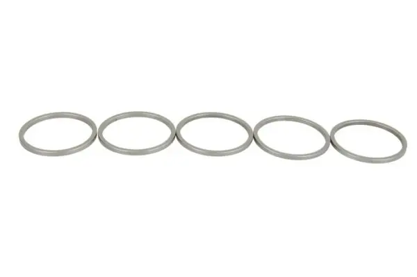 Saiba pentru DENSO pret pt 5 buc (diametru interior 21,5mm, diametru exterior 24,3mm, grosime 1,59mm)