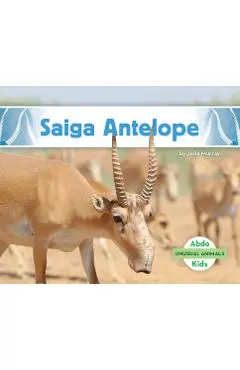 Saiga Antelope - Julie Murray