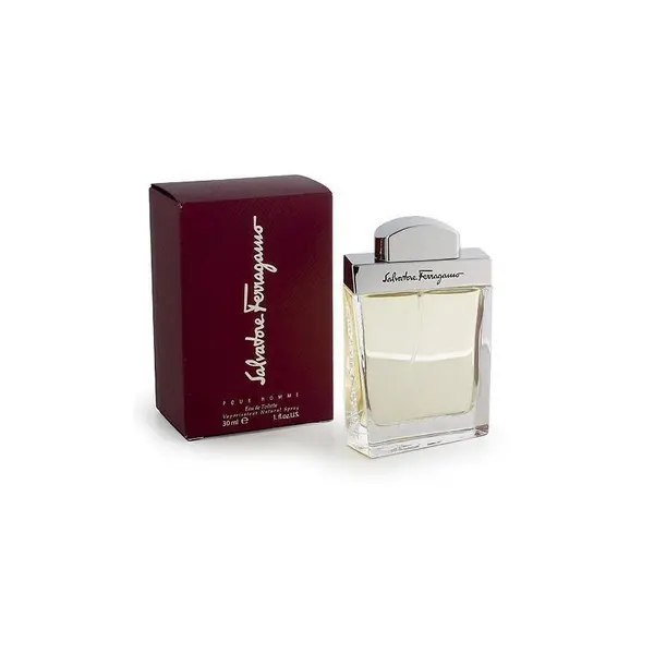 Salvatore Ferragamo Pour Homme parfum pentru barbati EDT Volum 100 ml