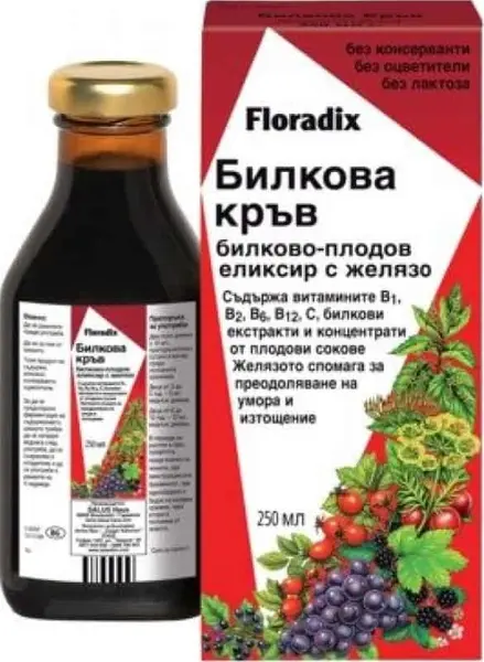 Sânge din plante, 250 ml, Floradix