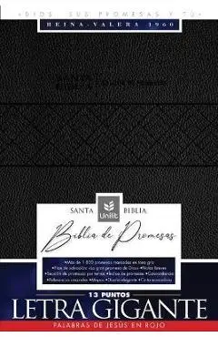 Santa Biblia de Promesas Reina-Valera 1960 / Letra Gigante - 13 Puntos / Piel Especial / Negra // Spanish Promise Bible Rvr60 / Giant Print / Leathers - Unilit