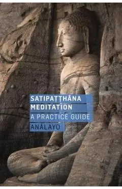 Satipatthana Meditation: A Practice Guide - Analayo