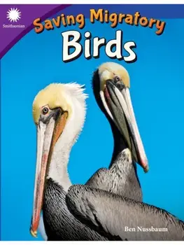 Saving Migratory Birds, Paperback/Ben Nussbaum
