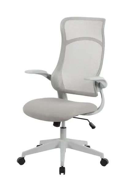 Scaun de birou ZOLDER - Grey