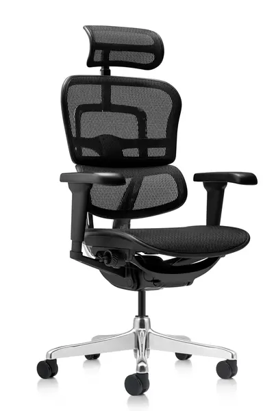 Scaun managerial Ergohuman - ergonomie premium si confort de top