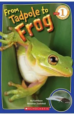 Scholastic Reader Level 1: From Tadpole to Frog - Kathleen Weidner Zoehfeld