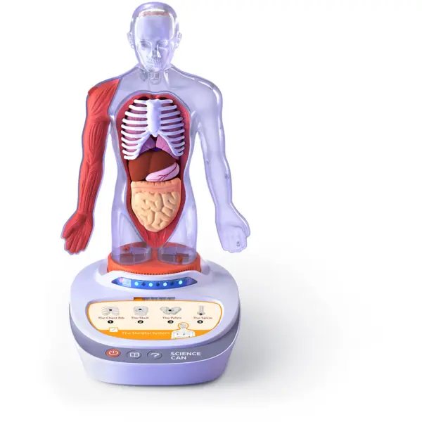 Science Can Descopera corpul uman - Enciclopedie Interactiva Steam Science Can, varsta 6 ani +, Multicolor