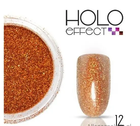 Sclipici holographic- 12