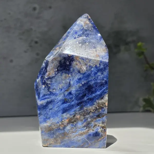Sculptura sodalit | Model 3