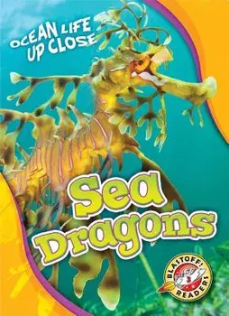 Sea Dragons, Hardback/Heather Adamson