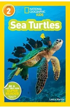 Sea Turtles - Laura Marsh