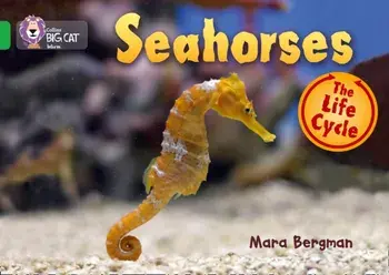 Seahorses. Band 05/Green, Paperback/Mara Bergman