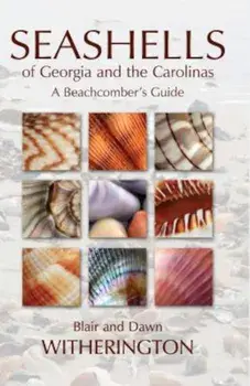 Seashells of Georgia and the Carolinas: A Beachcomber's Guide, Paperback/Blair Witherington