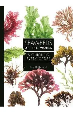 Seaweeds of the World: A Guide to Every Order - John Bothwell