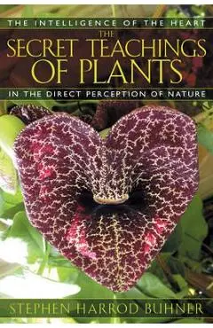 Secret Teachings of Plants