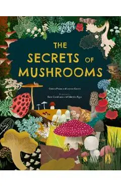 Secrets of Mushrooms - Ginevra|cocchi Picoco