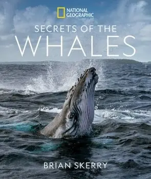 Secrets of the Whales, Hardback/Brian Skerry