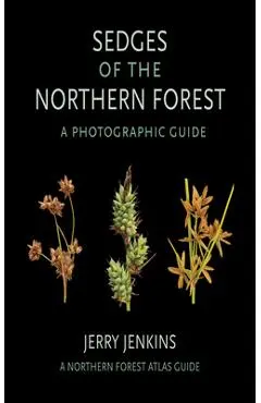 Sedges of the Northern Forest: A Photographic Guide - Jerry Jenkins