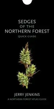 Sedges of the Northern Forest: Quick Guide/Jerry Jenkins