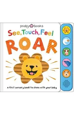 See, Touch, Feel: Roar: A First Sensory Book - Roger Priddy