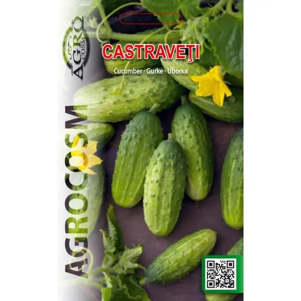 Seminte Castraveti Everest F1, Agrocosm