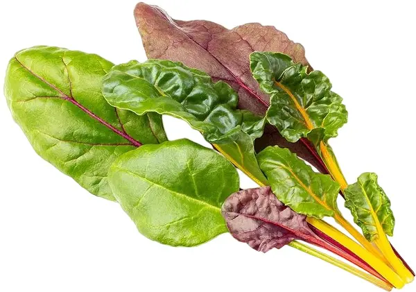 Semințe Click and Grow - Beta vulgaris var. cicla, 3 rezerve