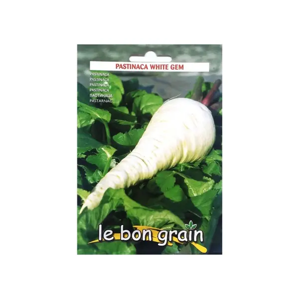 Seminte de Pastarnac, White Gem, 100 g, Raci Sementi