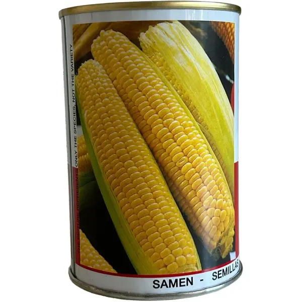 Seminte de Porumb Dulce, Golden Bantam, 100 g, Raci Sementi
