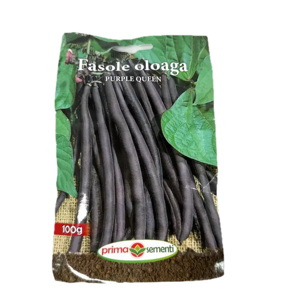 Seminte fasole oloaga rosie fideluta Purple Queen 100 gr, Prima Sementi - Default Title