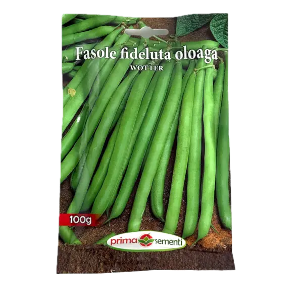 Seminte fasole oloaga verde fideluta Wotter 100 gr, Prima Sementi - Default Title