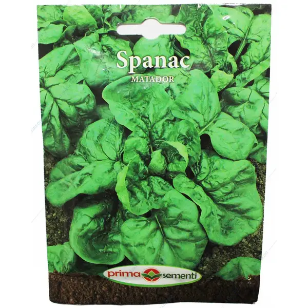 Seminte spanac Matador 18 gr, Prima Sementi - Default Title